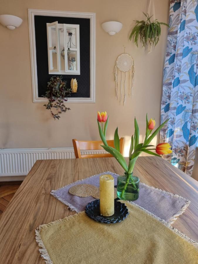 Bed and Breakfast Adria Myślibórz Exteriér fotografie